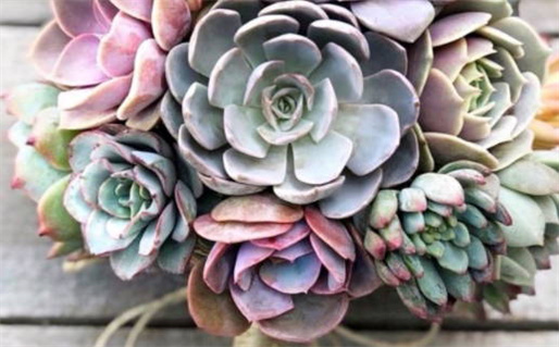 2027年09月17日领证黄历查询