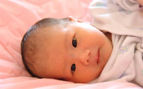 2026年04月29日农历二〇二六年三月十三出生的林姓女宝宝取名全攻略