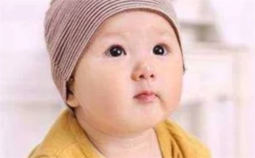 张姓女孩子取名