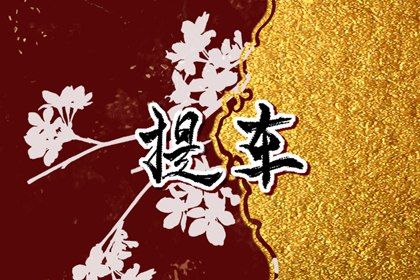 2026年08月16日提车黄历查询