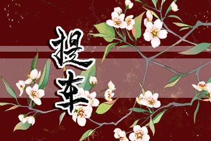 2049年08月11日提车指南：适宜活动与注意事项解析