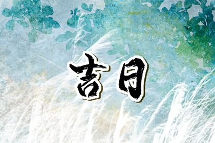 农历二〇二六年八月初十黄历提取座驾不适宜吗,提车吉日查询