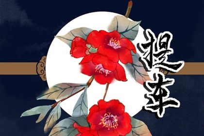 2029年02月06日提车黄历查询