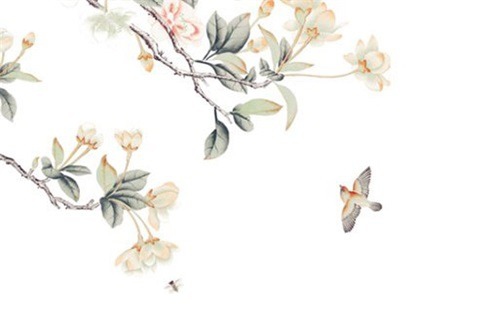 2026年06月11日装修指南：不宜装修的原因与建议